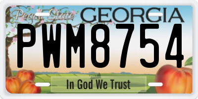 GA license plate PWM8754