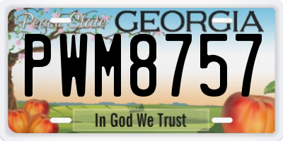 GA license plate PWM8757