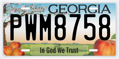 GA license plate PWM8758