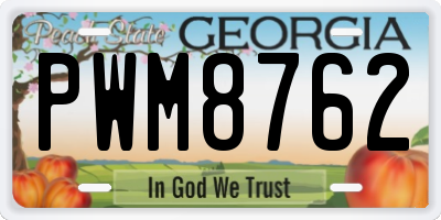 GA license plate PWM8762