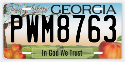 GA license plate PWM8763
