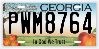 GA license plate PWM8764