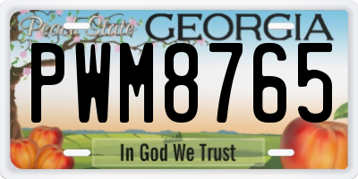 GA license plate PWM8765