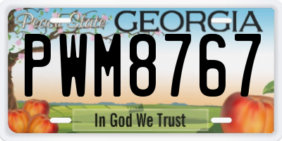 GA license plate PWM8767
