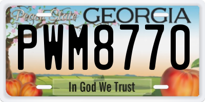 GA license plate PWM8770