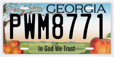GA license plate PWM8771