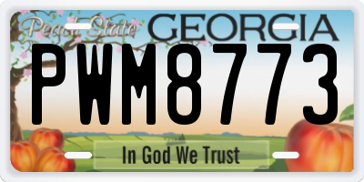 GA license plate PWM8773