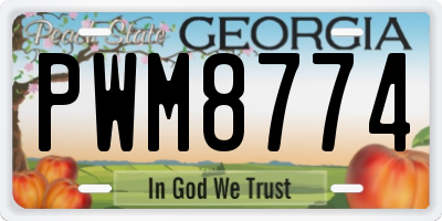 GA license plate PWM8774