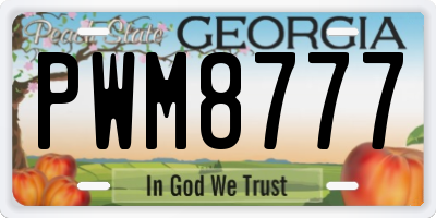 GA license plate PWM8777