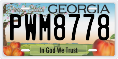 GA license plate PWM8778