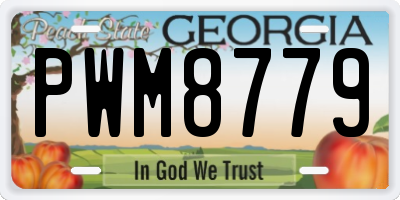 GA license plate PWM8779