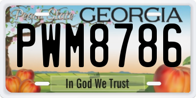 GA license plate PWM8786