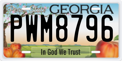 GA license plate PWM8796