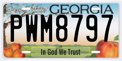 GA license plate PWM8797