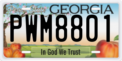GA license plate PWM8801