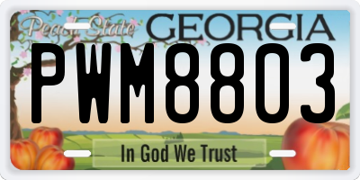 GA license plate PWM8803