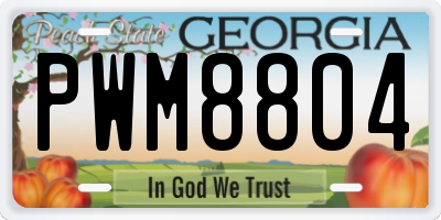 GA license plate PWM8804