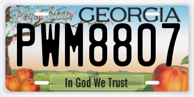 GA license plate PWM8807