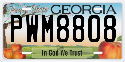 GA license plate PWM8808