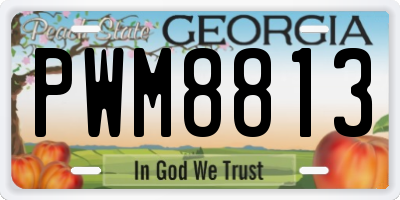 GA license plate PWM8813