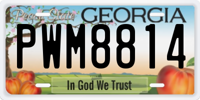 GA license plate PWM8814
