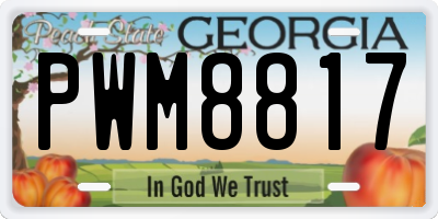 GA license plate PWM8817