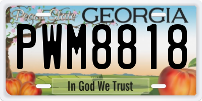 GA license plate PWM8818
