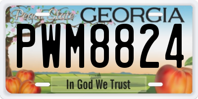 GA license plate PWM8824