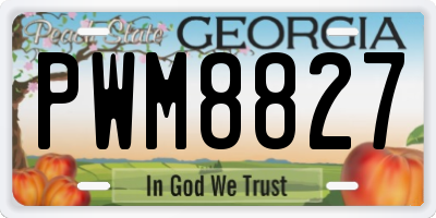GA license plate PWM8827