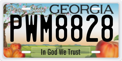 GA license plate PWM8828