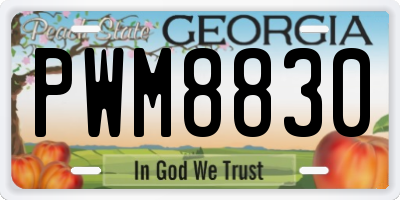 GA license plate PWM8830