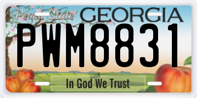 GA license plate PWM8831