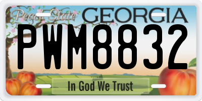 GA license plate PWM8832