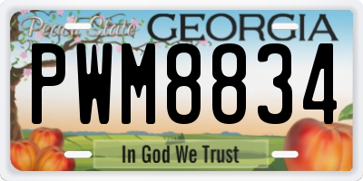 GA license plate PWM8834