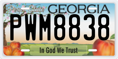 GA license plate PWM8838