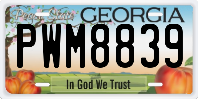 GA license plate PWM8839