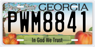 GA license plate PWM8841