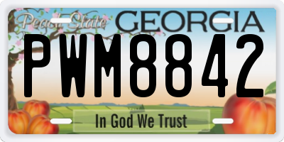 GA license plate PWM8842