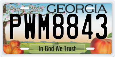 GA license plate PWM8843