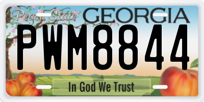GA license plate PWM8844