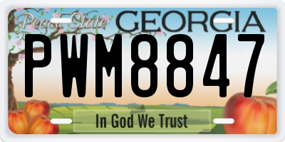 GA license plate PWM8847