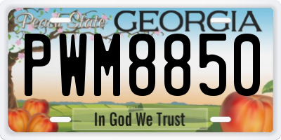 GA license plate PWM8850