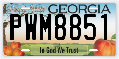GA license plate PWM8851