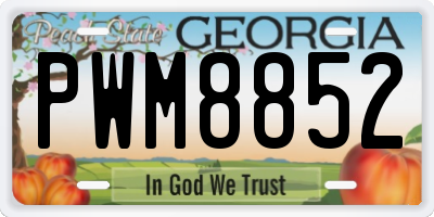 GA license plate PWM8852