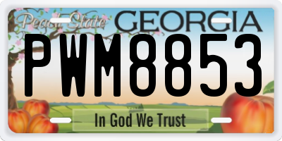GA license plate PWM8853