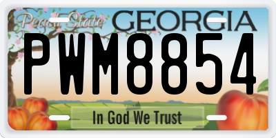 GA license plate PWM8854