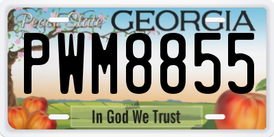 GA license plate PWM8855
