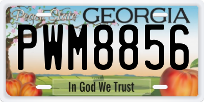 GA license plate PWM8856