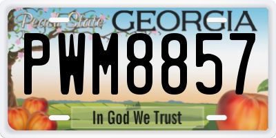 GA license plate PWM8857