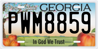 GA license plate PWM8859